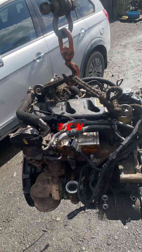 MOTOR TERRACOTA FOTON - Imagen 3