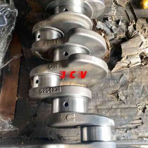 CIGUEÑAL FOTON TERRACOTA